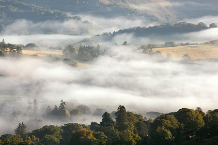 Mist near Chagford, Dartmoor